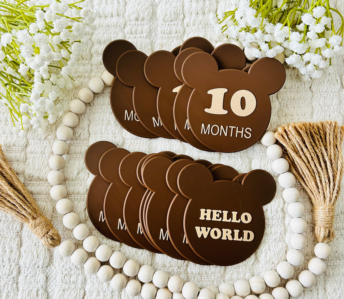 Sweet Teddy Monthly Milestones