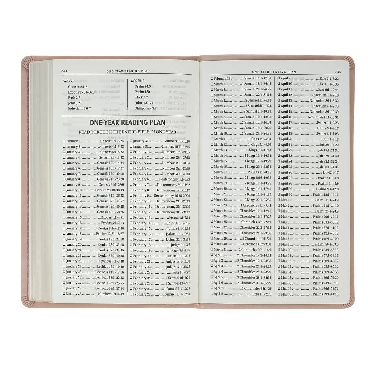 Bible Gift Edition Faux Leather Blush Pink