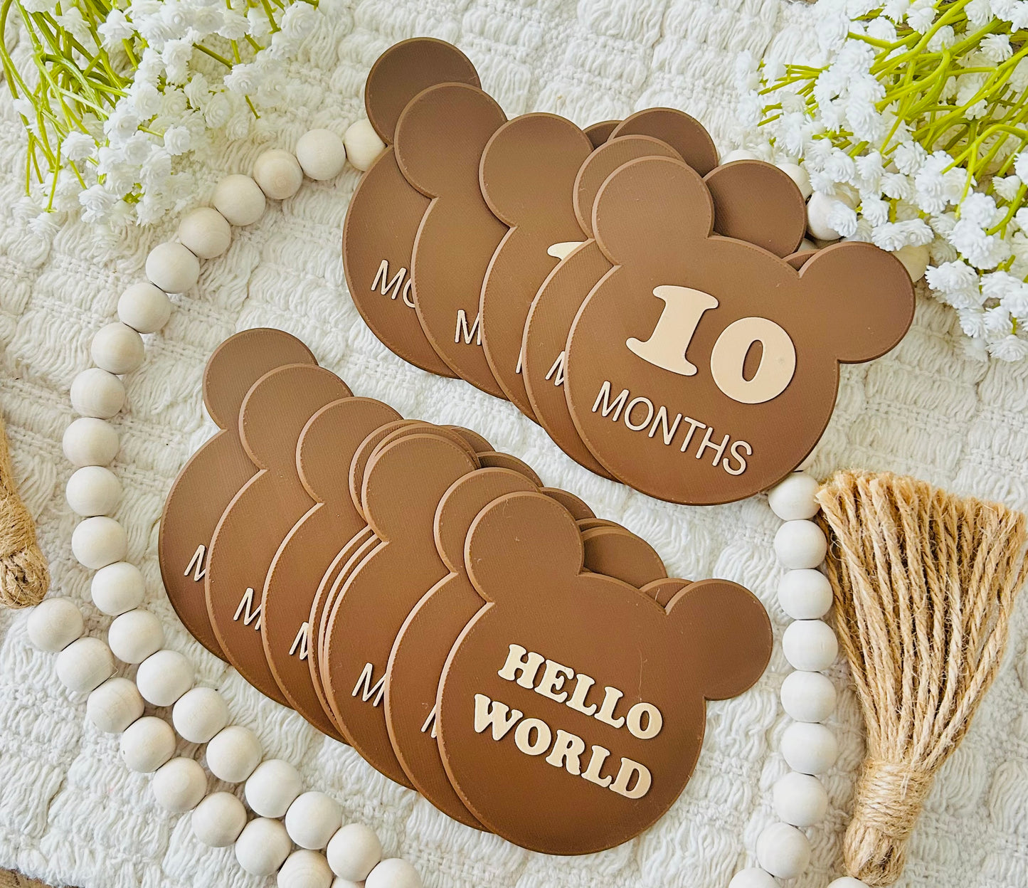 Sweet Teddy Monthly Milestones
